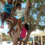 mb in a tree